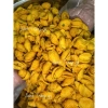 Túi Zip 500g/1Kg Snack Ốc Sò Tẩm Hành Thơm Ngon Giòn Tan Giá 50.000 VND