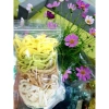 Túi Zip Đáy Đứng 2 Mặt Trong 100g - VietBuy Giá 17.000đ Giảm Đặc Biệt 2
