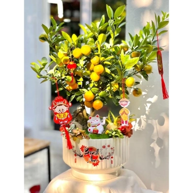 Tượng Thần Tài Di Lặc 6cm Đẹp Sắc Nét - Trang Trí Chậu Cây, Decor Sân Vườn, Giá 48.000 VND 7 Tượng Thần Tài Di Lặc 6cm Đẹp Sắc Nét - Trang Trí Chậu Cây, Decor Sân Vườn, Giá 48.000 VND 7