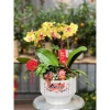 Tượng Thần Tài Di Lặc 6cm Đẹp Sắc Nét - Trang Trí Chậu Cây, Decor Sân Vườn, Giá 48.000 VND 8