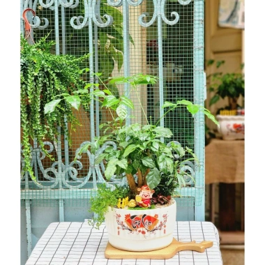 Tượng Thần Tài Di Lặc 6cm Đẹp Sắc Nét - Trang Trí Chậu Cây, Decor Sân Vườn, Giá 48.000 VND 9 Tượng Thần Tài Di Lặc 6cm Đẹp Sắc Nét - Trang Trí Chậu Cây, Decor Sân Vườn, Giá 48.000 VND 9