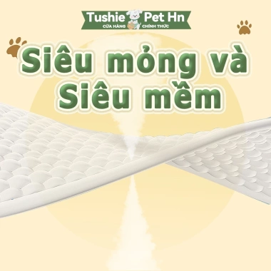 Tushie Treats 12 cái Tã Quần/Băng Vệ Sinh Chó Cái XXS 0.3‑1.5kg Không Ngột Ngạt Giá 34.000₫ 2 Tushie Treats 12 cái Tã Quần/Băng Vệ Sinh Chó Cái XXS 0.3‑1.5kg Không Ngột Ngạt Giá 34.000₫ 2