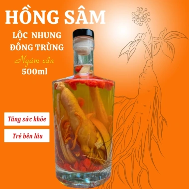 Tửu Hồng Sâm Nhung Hươu Đong Trùng Đông Y Nghi Anh 500ml - Bồi Bổ, Tăng Đề Kháng, Cải Thiện Sinh Lý