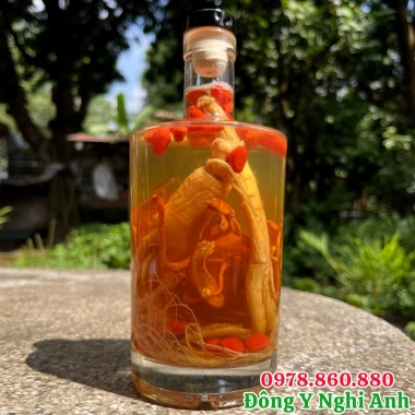 Tửu Hồng Sâm Nhung Hươu Đong Trùng Đông Y Nghi Anh 500ml - Bồi Bổ, Tăng Đề Kháng, Cải Thiện Sinh Lý 4 Tửu Hồng Sâm Nhung Hươu Đong Trùng Đông Y Nghi Anh 500ml - Bồi Bổ, Tăng Đề Kháng, Cải Thiện Sinh Lý 4