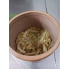 Ù Mùng 1kg U Mụng Người Hoa Dưa Môn Muối Chua - Giá 50.000 VNĐ, giảm từ 62.000, vị chua ngọt thơm ngon 5