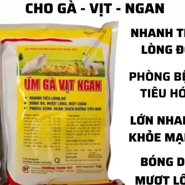 Úm gà, vịt, ngan, cút 1kg – Nhanh tiêu lòng đỏ, khỏe, lớn nhanh Thú y Trường Thịnh