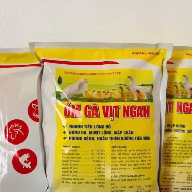 Úm gà, vịt, ngan, cút 1kg – Nhanh tiêu lòng đỏ, khỏe, lớn nhanh Thú y Trường Thịnh