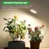 USB Hai Màu Kép Ấm – Cáp Sạc Lại LED Nhỏ, Thiết Kế Bắc Âu Xanh Tươi, Giá 358.600₫ 4