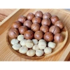 ƯU ĐÃI GIÁ HỜI Hạt Mắc Ca Đắk Lắk Size Đại 2.7-3cm 500gr Sấy Chín Còn Vỏ - 69k 2