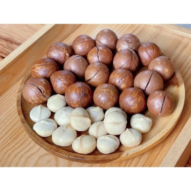 ƯU ĐÃI GIÁ HỜI Hạt Mắc Ca Đắk Lắk Size Đại 2.7-3cm 500gr Sấy Chín Còn Vỏ - 69k