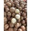 ƯU ĐÃI GIÁ HỜI Hạt Mắc Ca Đắk Lắk Size Đại 2.7-3cm 500gr Sấy Chín Còn Vỏ - 69k 6