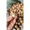 ƯU ĐÃI GIÁ HỜI Hạt Mắc Ca Đắk Lắk Size Đại 2.7-3cm 500gr Sấy Chín Còn Vỏ - 69k 7