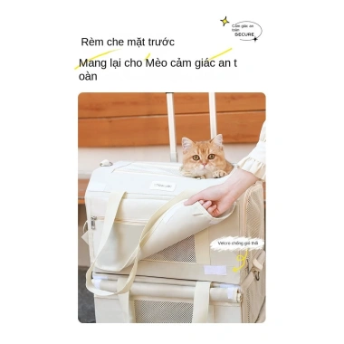 Va li xe đẩy 2 tầng cho thú cưng - Ba lô xách tay cho mèo & chó, giảm giá 20% chỉ 451.200₫ 5