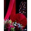 Vải nhung đỏ sang trọng – Trang trí, làm rèm decor ngày Tết, giá ưu đãi 99.000₫ 8