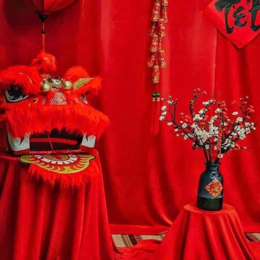 Vải nhung đỏ và vải con công - Phông nền Decor Tết giá ưu đãi 60.000₫ 2