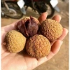 Vải sấy khô lục ngăn chính gốc cho nhà làm - Không sâu cuống, giảm còn 60.000đ (giá gốc 76.200đ) 3