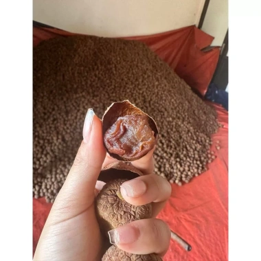 Vải sấy khô lục ngăn chính gốc cho nhà làm - Không sâu cuống, giảm còn 60.000đ (giá gốc 76.200đ) 4 Vải sấy khô lục ngăn chính gốc cho nhà làm - Không sâu cuống, giảm còn 60.000đ (giá gốc 76.200đ) 4