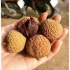 Vải sấy khô lục ngăn chính gốc cho nhà làm - Không sâu cuống, giảm còn 60.000đ (giá gốc 76.200đ) 5