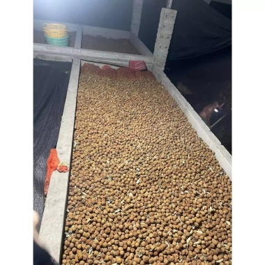 Vải sấy khô lục ngăn chính gốc cho nhà làm - Không sâu cuống, giảm còn 60.000đ (giá gốc 76.200đ)