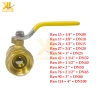 Van Bi Đồng Thau Tay Gạt Italy Ren 49-60 - Van đóng mở hơi, dầu, nước, chất lượng cao giá ưu đãi 7