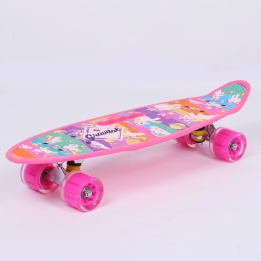 Ván trượt Skateboard Penny đa màu sắc, bánh đèn LED phát sáng - Giá ưu đãi 339.000 VND 2