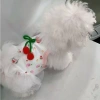 Váy công chúa voan mỏng hai dây kiểu yếm cho mèo và chó nhỏ, thoáng khí mát mẻ màu trắng giảm giá 250k 2