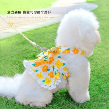 Váy hoa cho thú cưng dây đeo ngực kéo 1.2m - Dây xích xuân hè thoáng khí 3