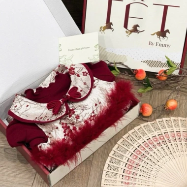Váy Tết bé gái lông váy tháo rời và áo giữ nhiệt EmbeMochi 6-20kg Giá 295k