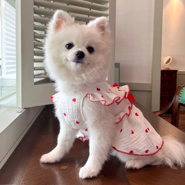 Váy thú cưng cotton thoáng khí họa tiết trái tim cho Ragdoll & Pomeranian - Dạo phố mùa hè