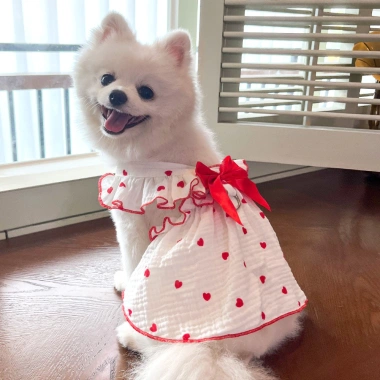 Váy thú cưng cotton thoáng khí họa tiết trái tim cho Ragdoll & Pomeranian - Dạo phố mùa hè