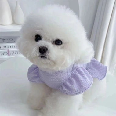 Váy thú cưng thoáng khí mát mẻ họa tiết trái tim 2 chân Pomeranian, Shih Tzu, chống rụng lông, dễ thương mùa hè 5