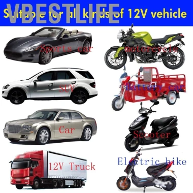VBESTLIFE 12V Báo động rung động chống trộm xe bảo vệ một chiều - 595.100 VND 4 VBESTLIFE 12V Báo động rung động chống trộm xe bảo vệ một chiều - 595.100 VND 4