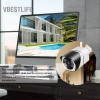 VBESTLIFE Bộ chuyển đổi nam BNC ổn định cao, 10 chiếc, kết nối video máy ảnh, hiệu suất vượt trội, giá 100.100₫