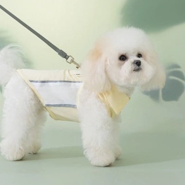 Vest Ice Silk lưới mỏng cho mèo nhỏ và chó, áo cổ thời trang mùa hè, giảm 20% 3