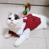 Vest Thú Cưng Dáng Tây Sọc và Nơ Bướm Thoáng Khí Quanh Năm Cho Mèo và Chó Nhỏ - Hoàn Hảo Tiệc Cưới và Party 4