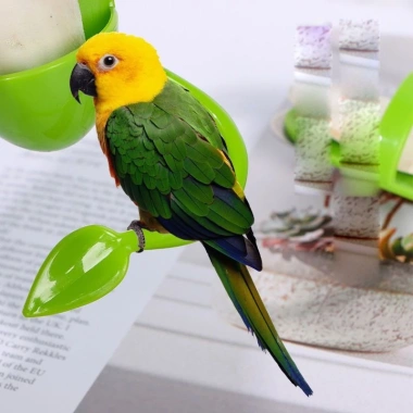 Vẹt Ăn Rau Củ Nĩa Đa Năng Đồ Dùng Tiếp Liệu Chim Đựng Thực Phẩm Giá 143k
