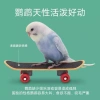 Vẹt Da Hổ Phượng Hoàng - Đồ Chơi Xe Tay Giảm Chán, Giải Nén, Giáo Dục Tự Làm 2