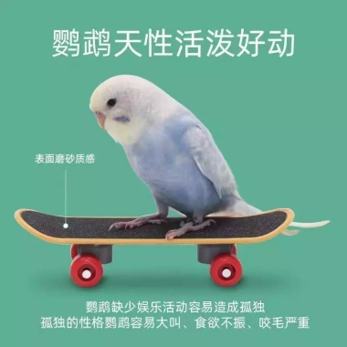 Vẹt Da Hổ Phượng Hoàng - Đồ Chơi Xe Tay Giảm Chán, Giải Nén, Giáo Dục Tự Làm 2