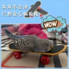 Vẹt Da Hổ Phượng Hoàng - Đồ Chơi Xe Tay Giảm Chán, Giải Nén, Giáo Dục Tự Làm 6