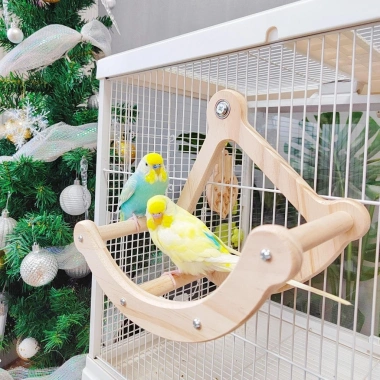 Vẹt Đồ Chơi Gỗ Xoay Đĩa Cướp Biển Vuốt Mỏ Móng Vui Chơi Thư Giãn Trẻ Giá Ưu Đãi