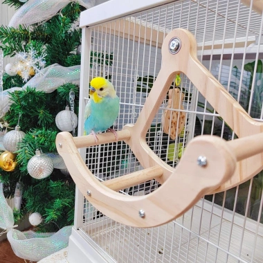 Vẹt Đồ Chơi Gỗ Xoay Đĩa Cướp Biển Vuốt Mỏ Móng Vui Chơi Thư Giãn Trẻ Giá Ưu Đãi