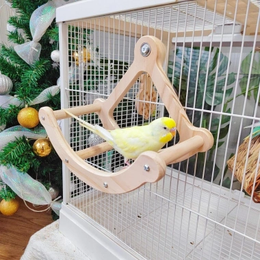 Vẹt Đồ Chơi Gỗ Xoay Đĩa Cướp Biển Vuốt Mỏ Móng Vui Chơi Thư Giãn Trẻ Giá Ưu Đãi