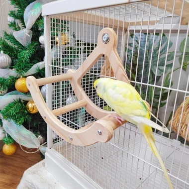 Vẹt Đồ Chơi Gỗ Xoay Đĩa Cướp Biển Vuốt Mỏ Móng Vui Chơi Thư Giãn Trẻ Giá Ưu Đãi