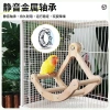 Vẹt Đồ Chơi Gỗ Xoay Đĩa Cướp Biển Vuốt Mỏ Móng Vui Chơi Thư Giãn Trẻ Giá Ưu Đãi 7