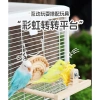 Vẹt Đồ Chơi Thép Đứng Gỗ Mài Móng Vuốt – Giá chỉ 508.062đ, an toàn cho bé 2