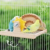 Vẹt Đồ Chơi Thép Đứng Gỗ Mài Móng Vuốt – Giá chỉ 508.062đ, an toàn cho bé 4