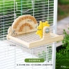Vẹt Đồ Chơi Thép Đứng Gỗ Mài Móng Vuốt – Giá chỉ 508.062đ, an toàn cho bé 7