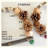 Vẹt Xoay Log Đứng Cực Mài Mỏ Mài Móng Vuốt - Đồ Chơi Chim Giúp Rèn Luyện Tay 4