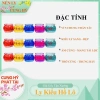 Vỉ Đèn Cầy Ly Hồ Lô 5 Chung Ngũ Sắc Cúng Ông Địa Thần Tài - Nến Ly Cung Hỷ Giá 60.300 VND