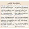 Ví nữ dài cầm tay da bò thật EDSEL cao cấp, nhiều ngăn đựng tiền, thẻ ATM, điện thoại - 550.000₫ 9